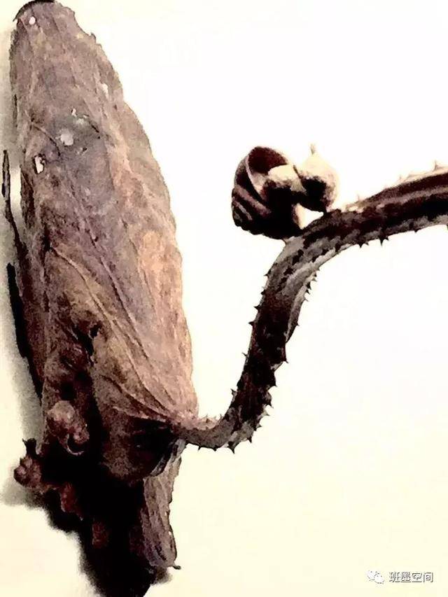作品名称:《枯荷系列之一》              技艺:木雕作品 材质:海南黄