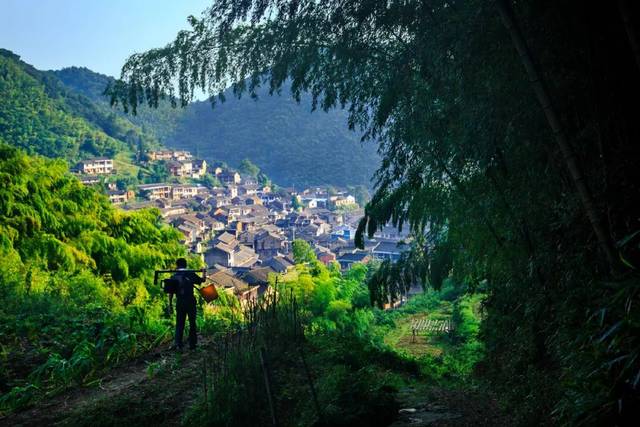 我的家乡东山村在浙江省宁波市塘溪镇赤堇山脉环抱中,依山而建,房屋