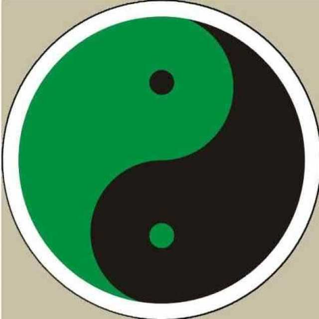 图说太极八卦之五:太极图的变化与种类