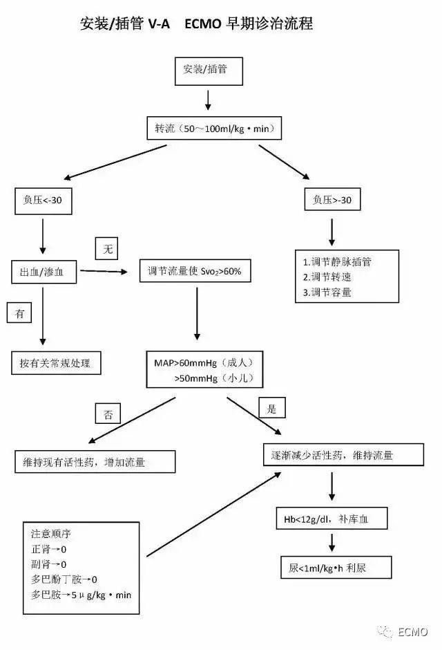 ecmo详细解读!