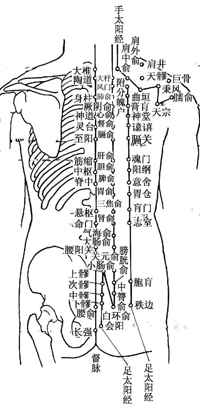 这样不仅进针规范,针具整齐,还可保证疗效. 主治症候 1.