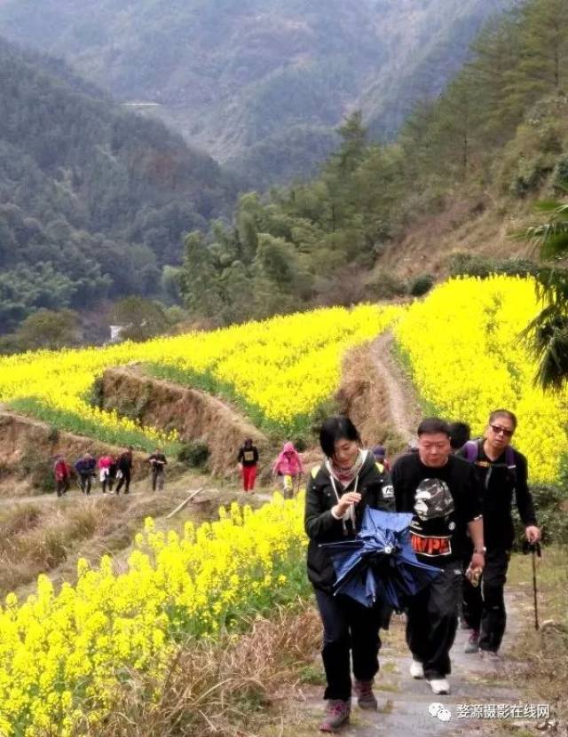 官亭村 (部分图片来自网络与各村落提供) 每年的油菜花开都在3月到4月