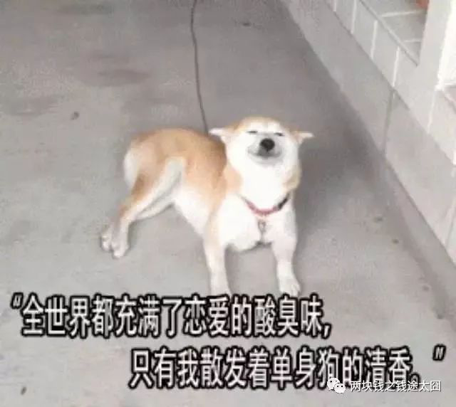 秀恩爱可以,但别贴到我脸上