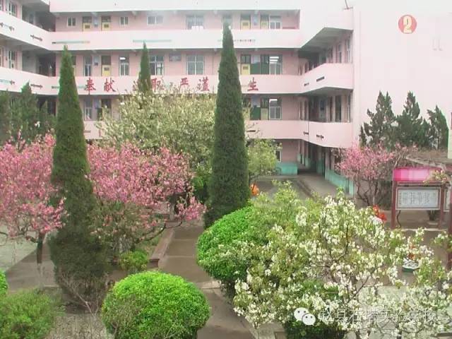 赵县石塔学校实验校区新年贺词