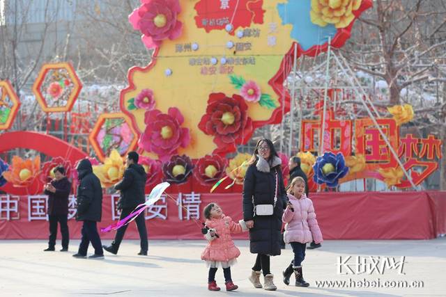 固安:赏花灯 庆佳节