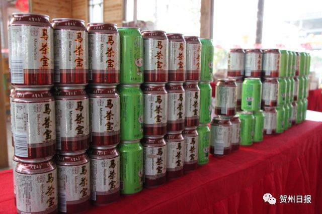 茶叶 马茶宝 中医枕 广西贺州市农业投资集团有限公司董事长