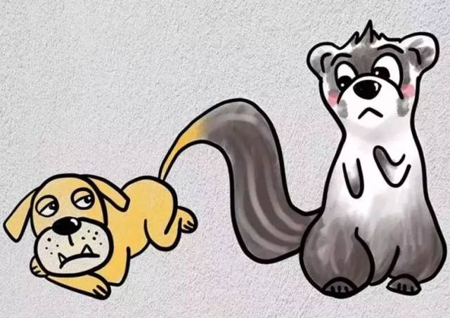 狗年的成语典故,大伙知道多少呢~ ▼ 1,狗急跳墙 2,狗尾续貂 3,狗头
