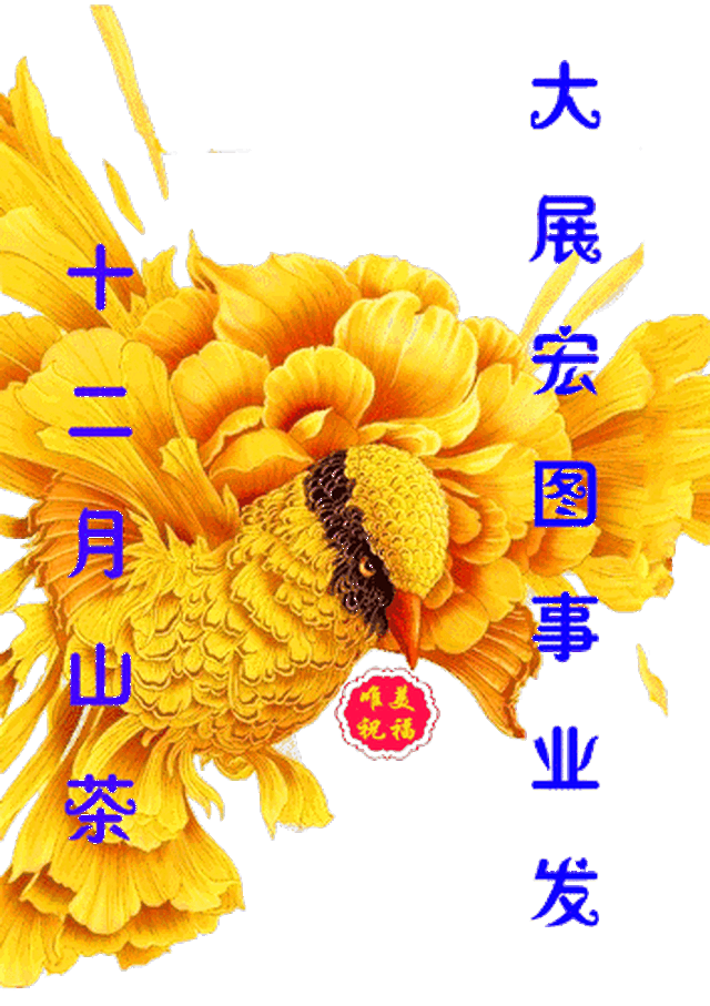 353_500 竖版 竖屏