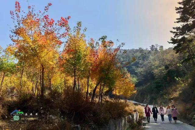 平邑大旺山旅游综合体项目成功签约(附美景图)