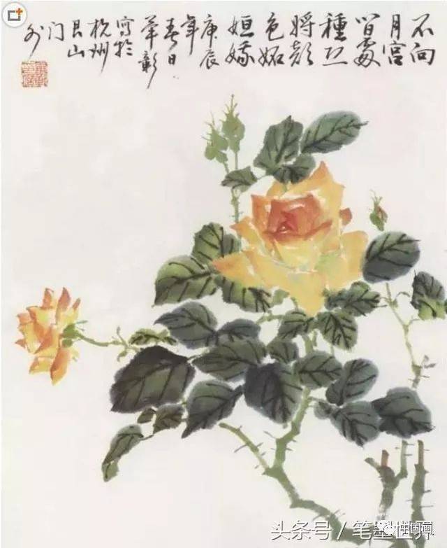 国画入门:月季花的画法