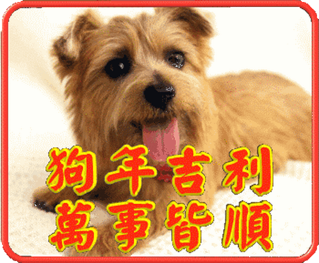 拿好这份狗年祝福表情包,去讨压岁钱吧!