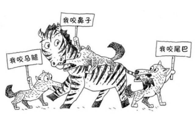 科学分工团队制胜小狗猎捕斑马