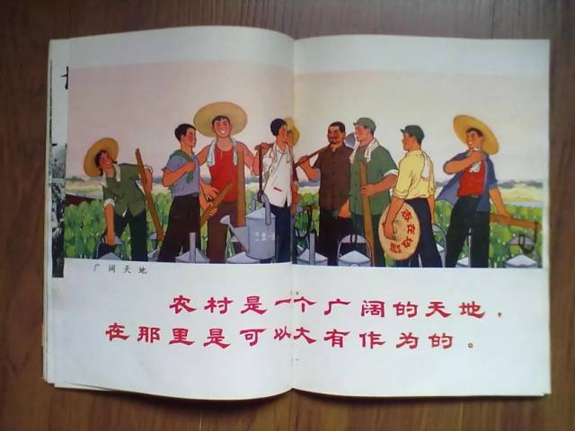 1949年 中国人口_数据来源:《中国人口统计资料1949-1985》、历年《中国人口统计