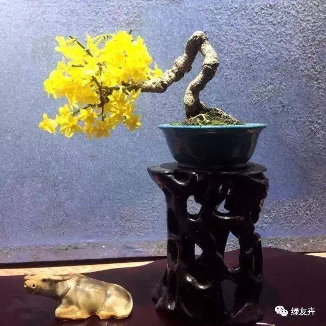 ӭ辰