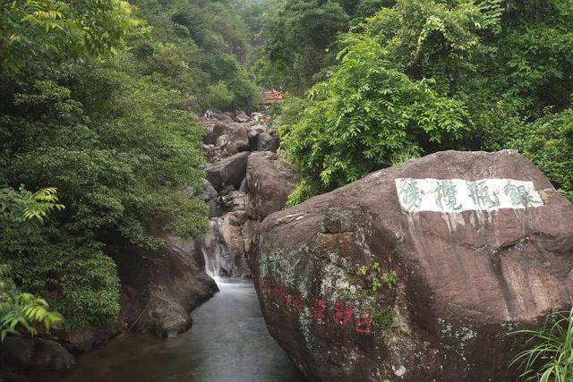 【出游】大年初一我在谢岗银瓶山 为佳人,佳景,佳节打