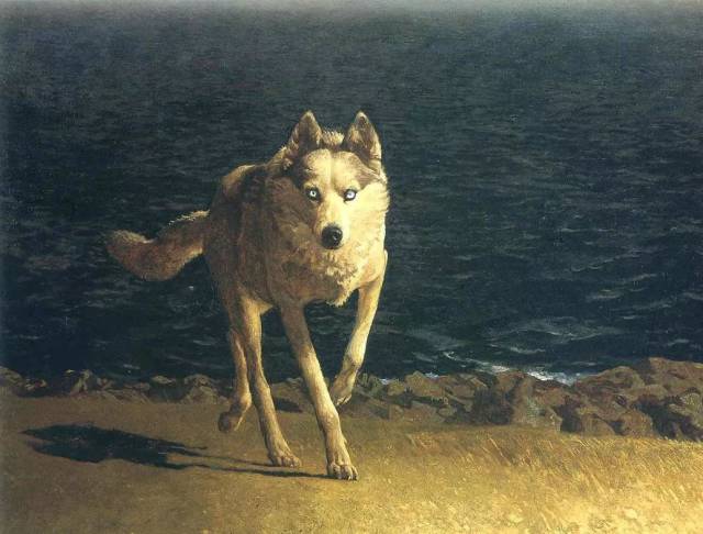 《wolf-dog》-1976-美国画家jamie wyeth