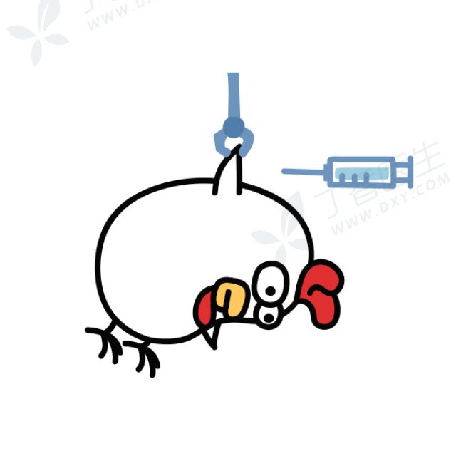 过年