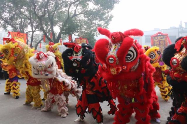 陆河不同风格各异的麒麟,金狮,醒狮来到政府门前进行高杆,凳桩等技巧