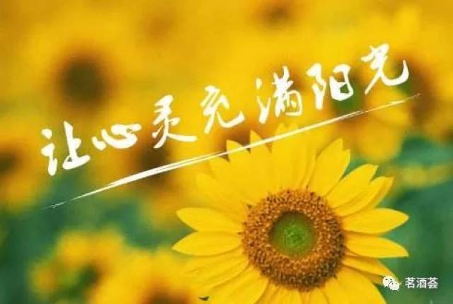 哪些书让你的生活充满了阳光?