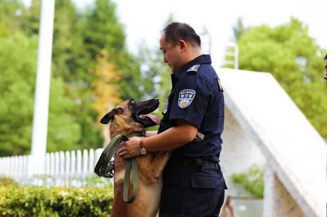 这是我的保姆 啊不,训导员—— 宿州市公安局刑警支队警犬技术大队
