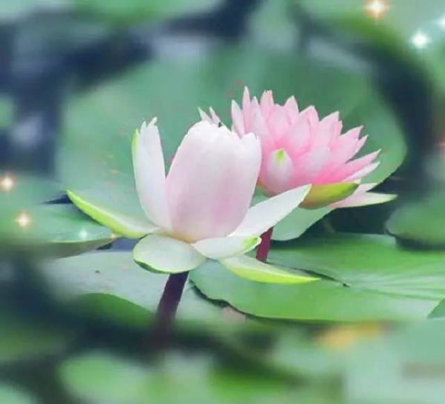 八个因果定律,个个受益终生