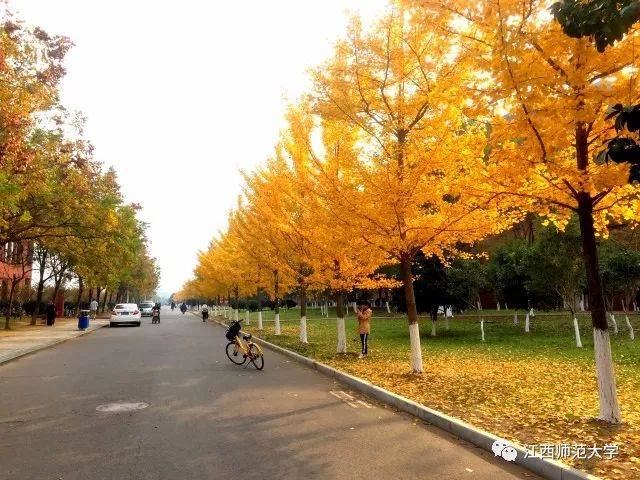 在江西师范大学就读是一种怎样的体验?