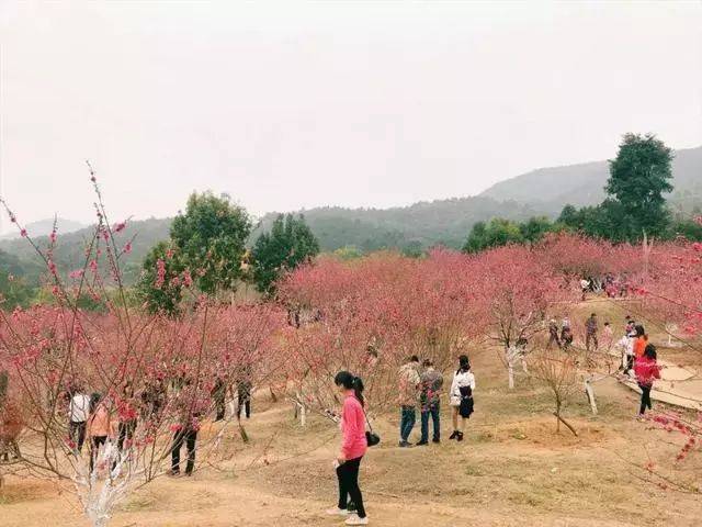 云浮:郁南大王山,南江第一湾人气爆棚!