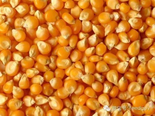 玉米进口结构的变化