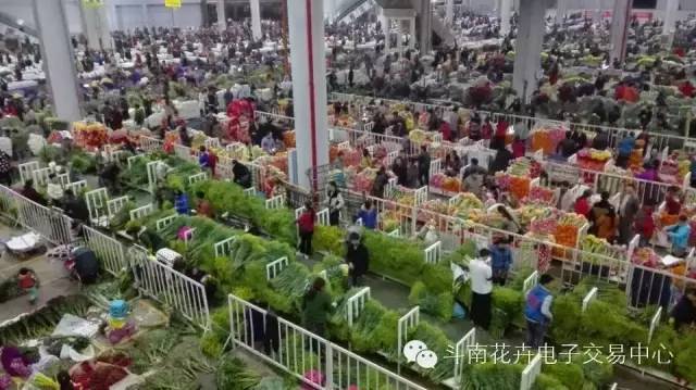 斗南花卉电子交易中心