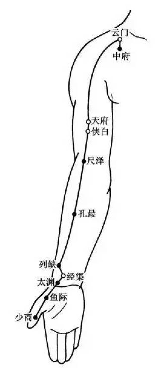 少商穴:在拇指桡侧爪甲角的根部. [ 本经要点]骨边,筋边,沟中取穴.