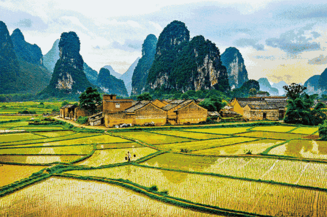 壁纸 成片种植 风景 植物 种植基地 桌面 640_425 gif 动态图 动图
