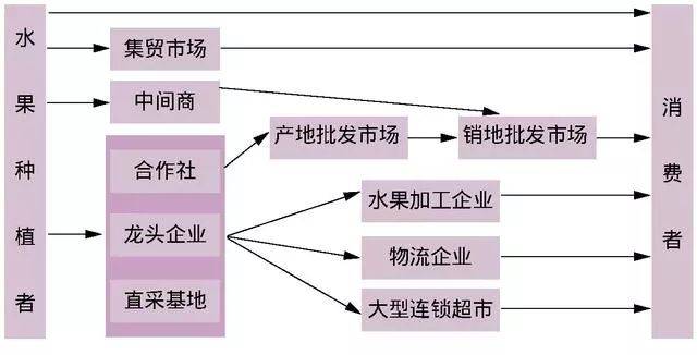 图2.中国的水果供应链流通模式