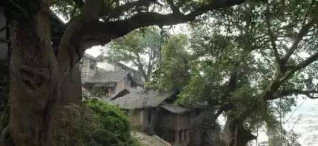 青堤古镇如今虽没有了昔日的热闹景象,但她那秀丽的山水风光仍然具有