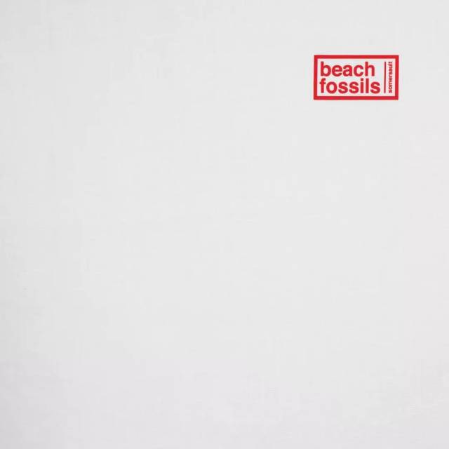 开票| beach fossils | 首次中国巡演公布