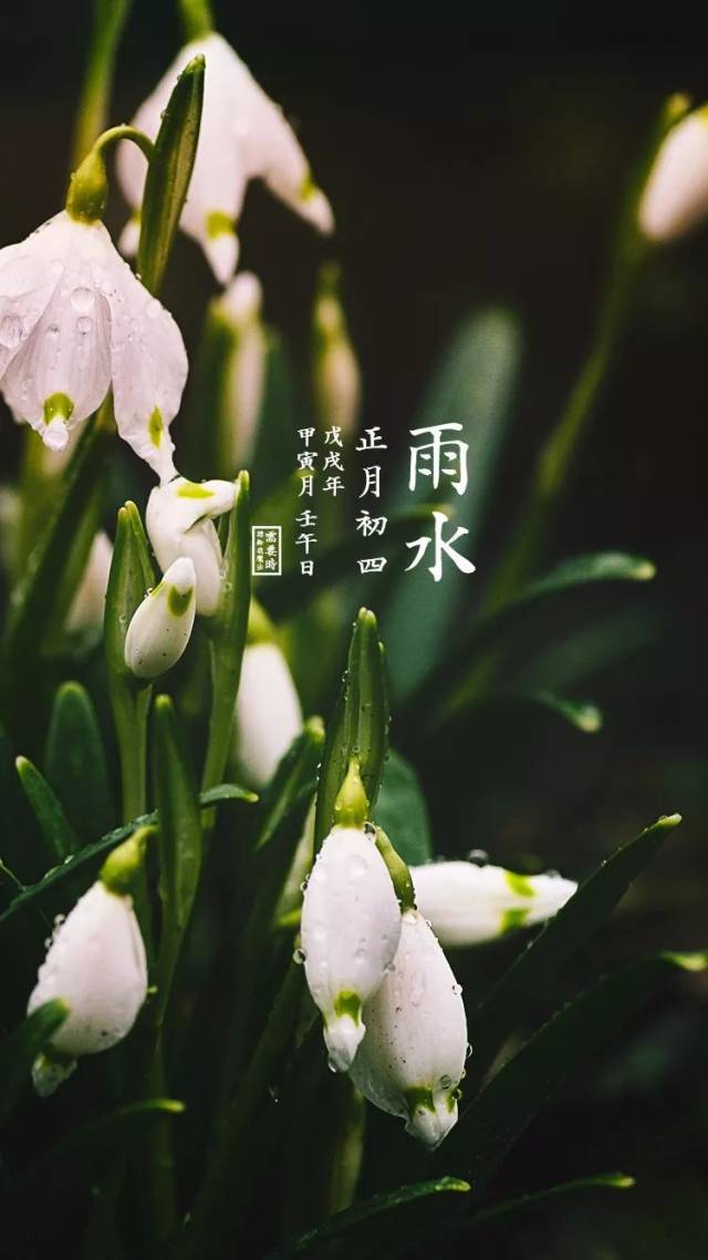 【壁纸·节气·雨水"细雨鱼儿出,微风燕子斜.