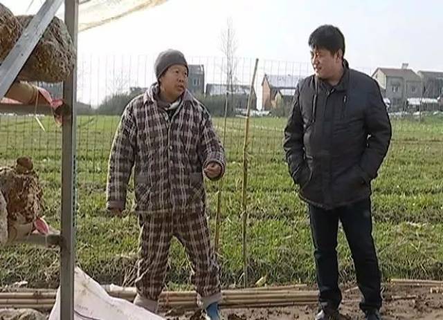【精准扶贫看江陵】白马寺镇石渊村:产业引领助脱贫