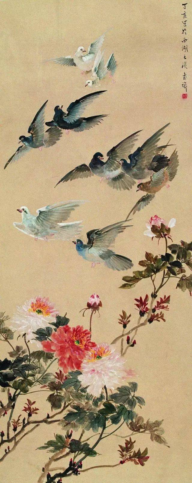 名家| 国画入驻白宫第一人,徐悲鸿称其画鸽" 古今第一