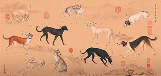 清宫画师郎世宁所绘乾隆的珍爱的《十骏犬图》现藏于故宫博物院