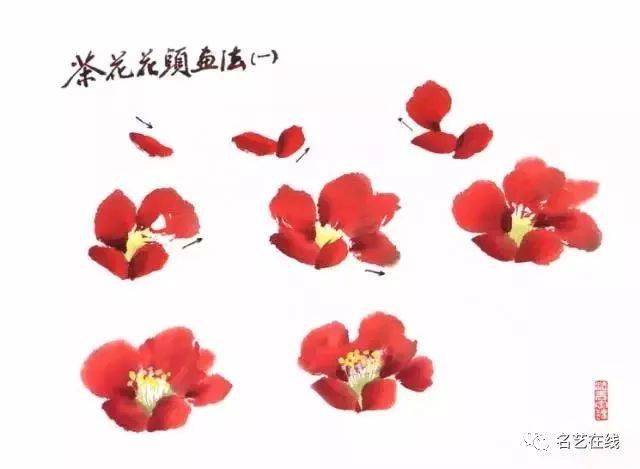 国画技法:如何画茶花?