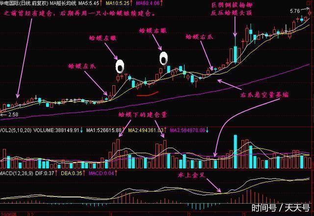 如何抄底黑马股中的金蛤蟆形态,一旦熟记,必轻松跟着庄家吃肉!