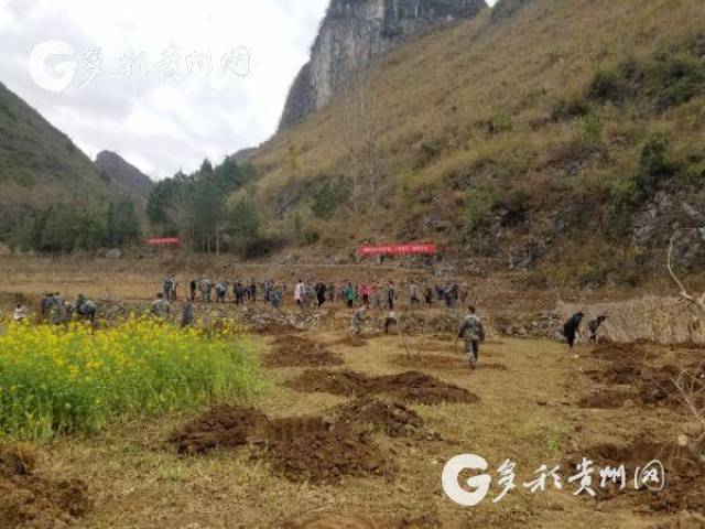 惠水县羡塘镇开展扶贫产业"十里桃花"植树活动