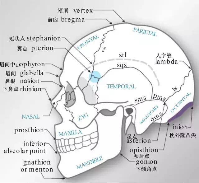 颅脑定位需要有个透视眼