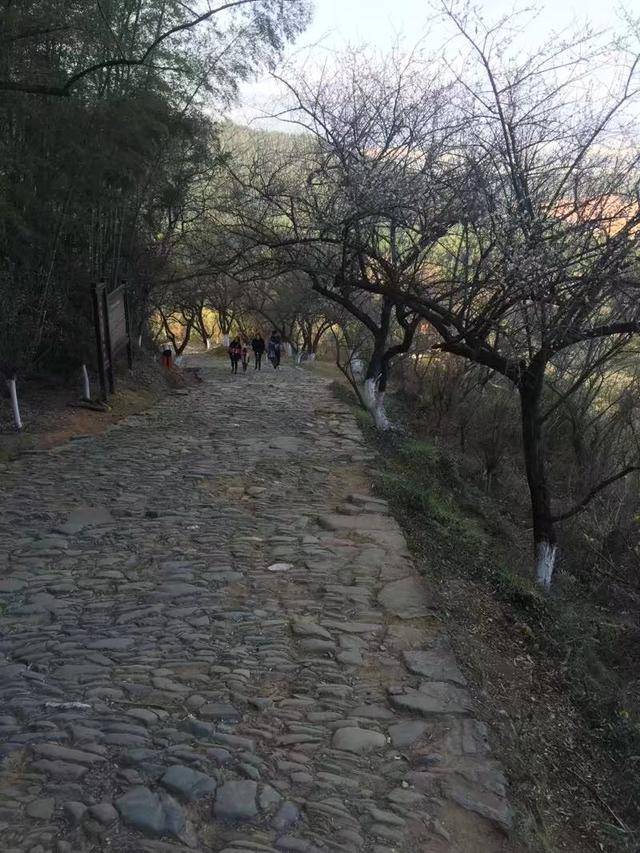 探访古代"粤赣高速"--梅岭古道