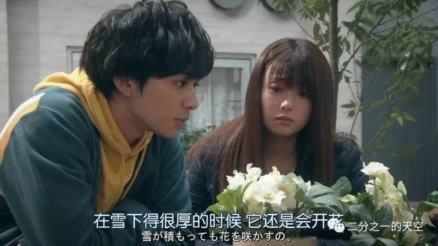 生活的社会没有偏见--推荐日剧《邻家月更圆》