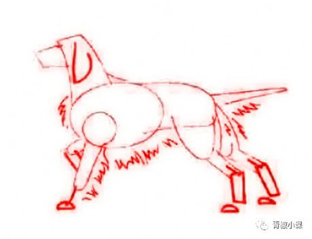 狗年画狗:一只签字笔画金毛犬| 每日一画