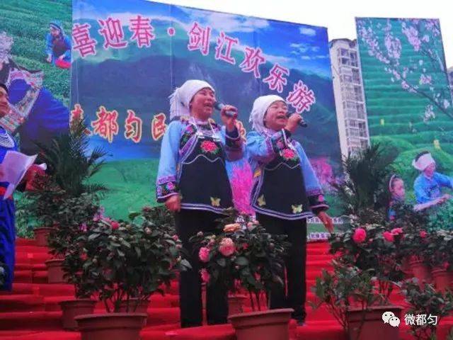 纳雍山歌 搜狐网