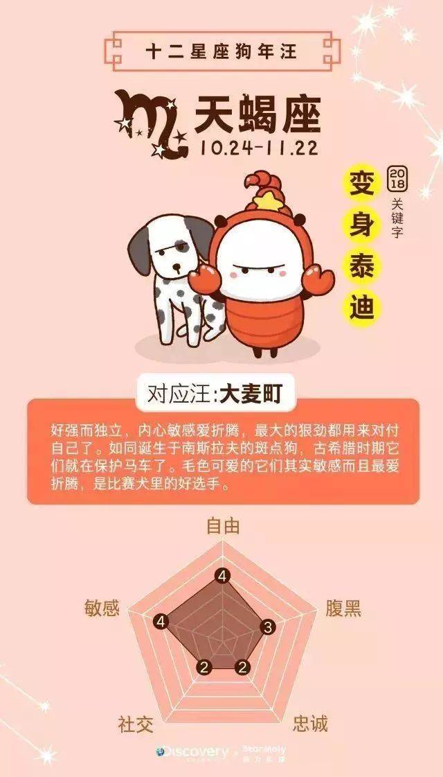 狗年到了,12星座分别对应什么汪?