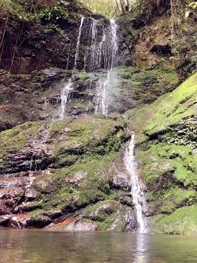 【德兴旅游】寻梦乡愁的地方—龙头山欢迎您