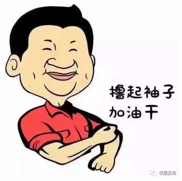 撸起袖子加油干