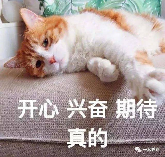 是的你没有听错,你的可爱的店主已经上线了 虽然我知道今天上班的